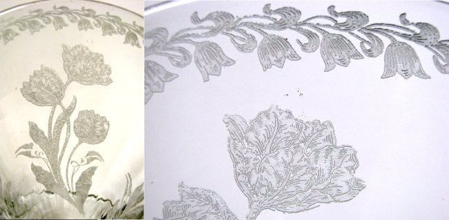 Lotus Japanese Tulip Etch