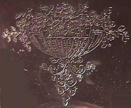 Tiffin Diana Etch