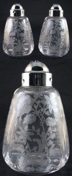 Cambridge #3900/1177 Salt & Pepper Shakers w/ Wildflower Etch
