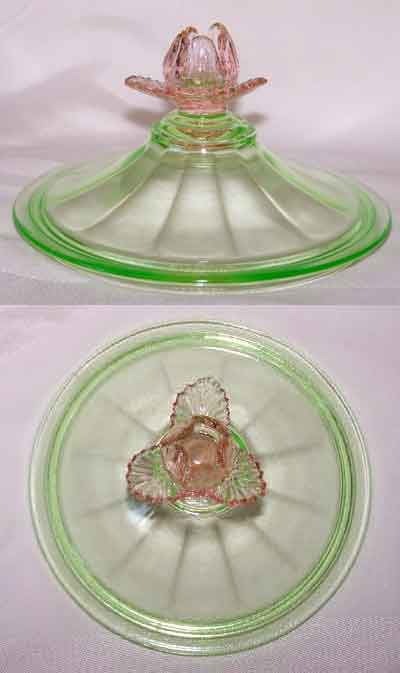 Cambridge Lid with Rose Knob