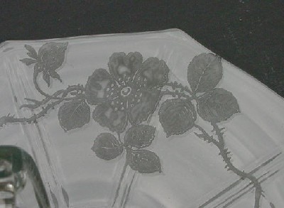 Indiana Wild Rose Etch
