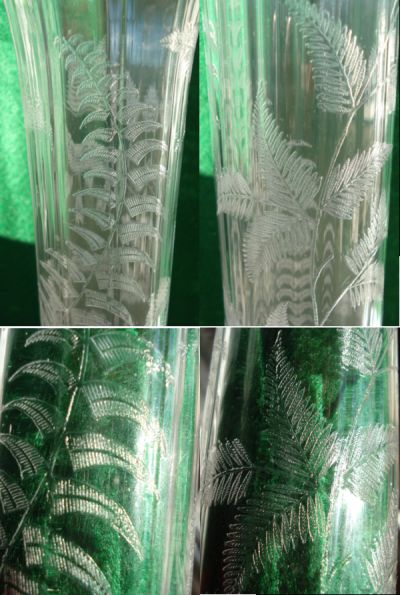 Unknown Fern Etch