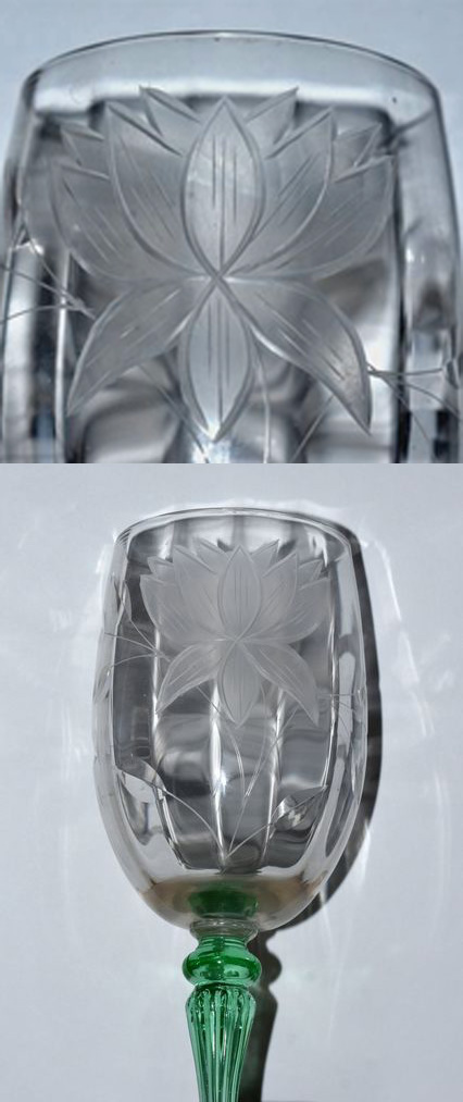 Tiffin Unknown "Water Lily" Cutting