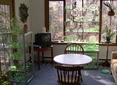 Green Glass in Sun Room