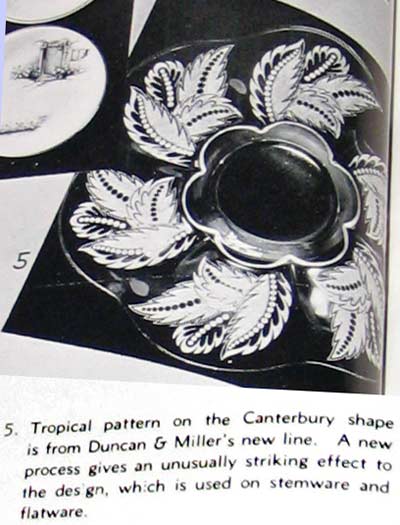 Duncan & Miller Tropical Etch on Canterbury