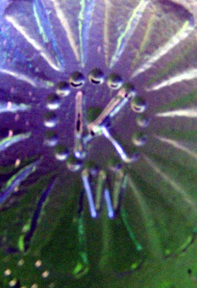 Wheaton Glass Mark