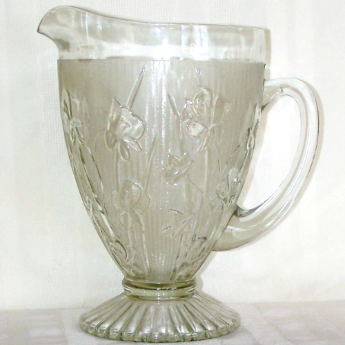 Jeannette Iris Pitcher
