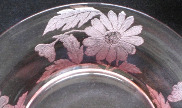 Cambridge Chrysanthemum Etch