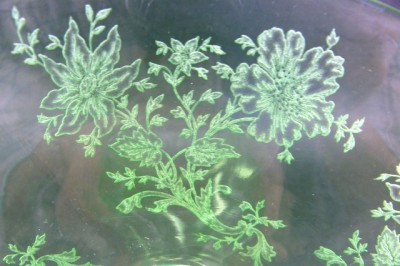 Cambridge # 517 "Early Wildflower" Etch