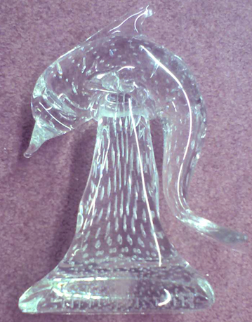 Unknown Dolphin