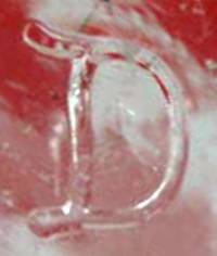 Dominion Glass Mark