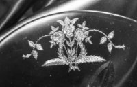 Unknown Floral Etch with Ferns