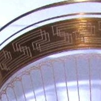 Unknown Gold Encrusted Needle Etch
