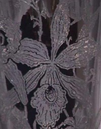 Paden City Orchid Bouquet
