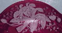 Paden City Orchid