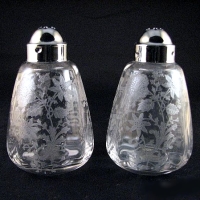 Cambridge #3900/1177 Salt & Pepper Shakers w/ Wildflower Etch