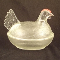 Indiana Hen on Nest