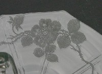 Indiana Wild Rose Etch