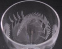 Unknown Fern & Daisy Cut on Unknown Goblet