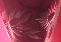 Unknown Cutting on Unknown Stem