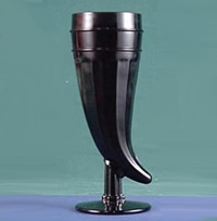 Tiara Horn