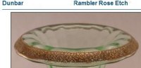 Dunbar Rambler Rose