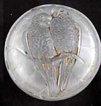Parrot Powder Box
