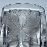 Tiffin Unknown "Water Lily" Cutting
