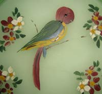 Tiffin Unknown Bird