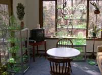 Green Glass in Sun Room