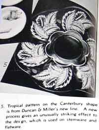 Duncan & Miller Tropical Etch on Canterbury