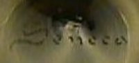 Seneca Mark