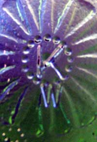 Wheaton Glass Mark