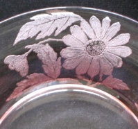 Cambridge Chrysanthemum Etch