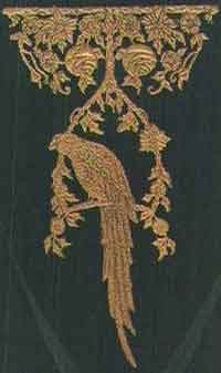 Central Dunn's  Parrot