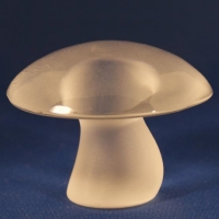 Viking Mushrooms