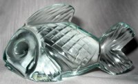 Unknown Fish