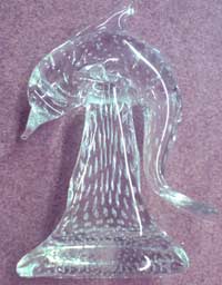 Unknown Dolphin