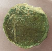 Dermay Bath Powder Label