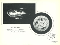 Verlys Wild Duck Bowl Advertisement