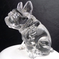 Unknown Bulldog