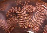 Fostoria # 308 Wildflower Etch
