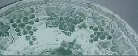 Fostoria # 287 Grape Brocade Etch