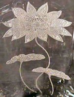Fostoria # 232 Lotus Etch