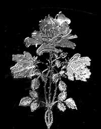 Fry DE  27 Three-Stemmed Rose Etch