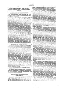Viking Vase Patent 4224763-3